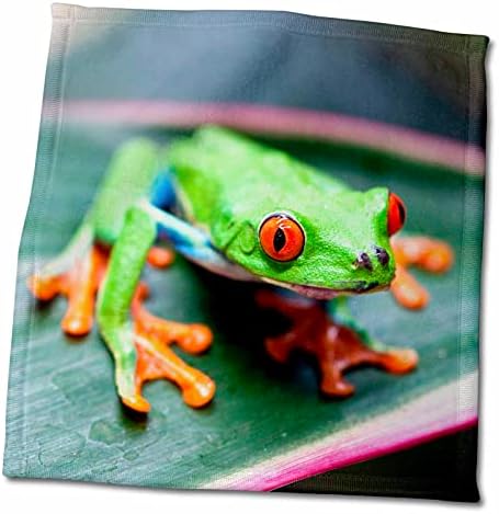 3D Rose Red-Eyed levelibéka A Levél-Costa Rica kéztörlő, 15 x 22, Többszínű