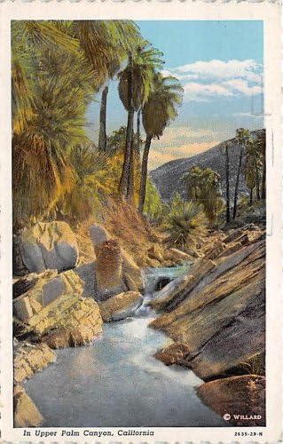 Palm Canyon, Kaliforniai Képeslap