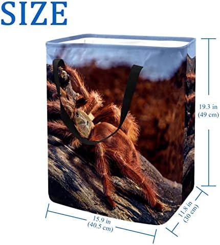 Godsous Szennyesben fogantyúval, Mexikói Vörös Térd Tarantula Pók 0 Összecsukható Nagy Pamut Tároló Kosár Ruhát