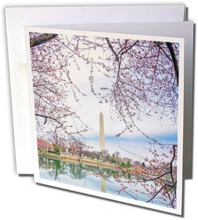 3dRose üdvözlőlap George Washington-Emlékmű Washington Dc-ben, 6 x 6 (gc_256709_5)