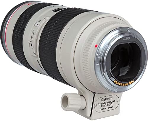 Canon EF 70-200mm f/2.8 L USM Objektív (2569A004) + Szűrő Készlet + Hátizsák + 64 gb-os Kártya + Kártya Olvasó + Flex