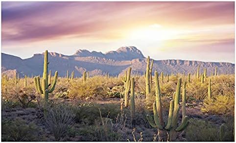 Ambesonne Arizona Kerámia Fogkefe Tartó, USA Nemzeti Park Fotó Egzotikus Saguaro Kaktusz Napos, Hegyek, Dekoratív Sokoldalú
