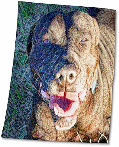 3dRose Susan Állatkert Legénység Állatok - fekete kutya lihegve sparkle - Törölköző (twl-184715-3)